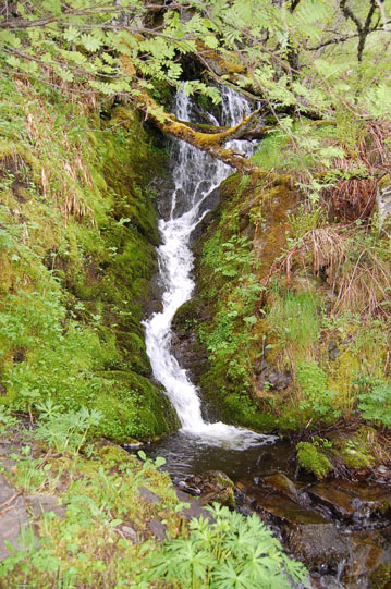 Fuente del Sesto
