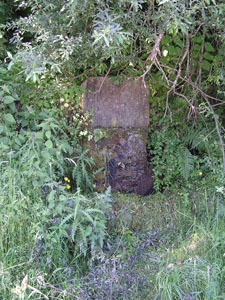 Otsera