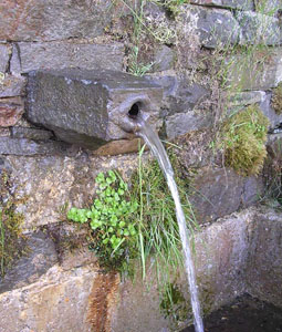 Fuente de Mumean