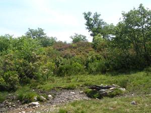 Fuente de la Gra�uela