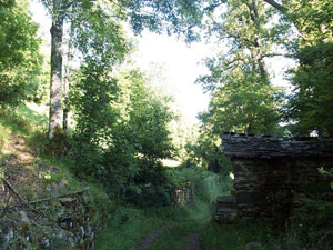 Camino de los molinos en S. Miguel.