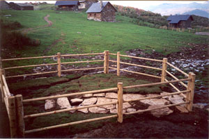 Otsera