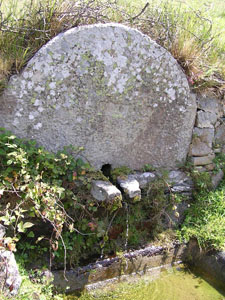 Detalle de la salida