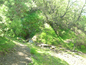 Fuente del Oso